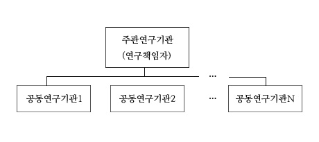 주관연구기관(연구책임자)---(공동연구기관1) (공동연구기관2) (공동연구기관n)