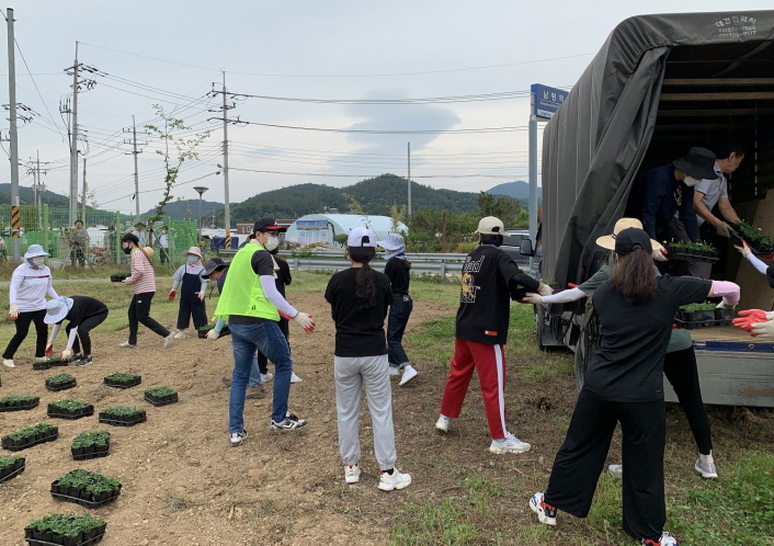 사진 4. 10일(목) 콘진원 임직원들이 ‘아름다운 농촌 만들기 캠페인’에 자발적으로 참여하여 나주시 신금마을에서 꽃 심기 활동에 필요한 자재를 나르고 있다.