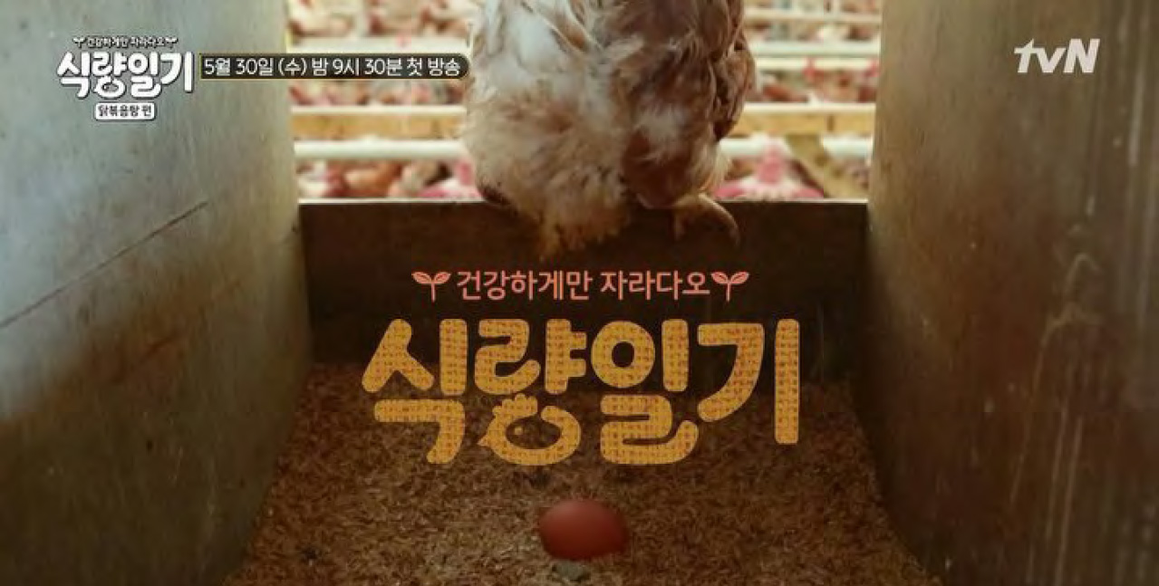 tvN <식량일기> 방송화면