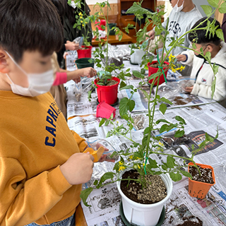아동놀권리 보장을 위한 농업 체험 및 친환경 교육 사진
