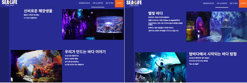 코엑스 씨라이프 아쿠아리움 실감미디어 체험 공간