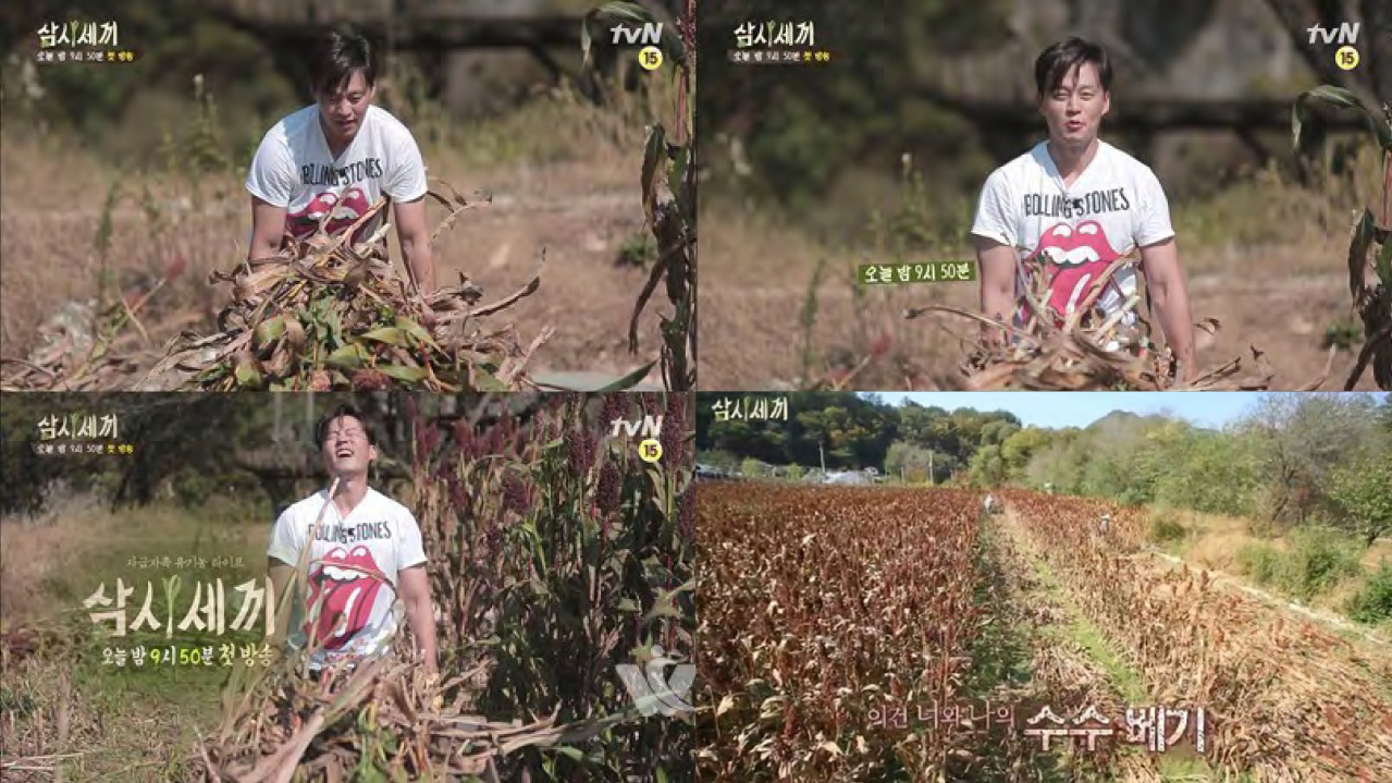tvN <삼시세끼> 방송화면