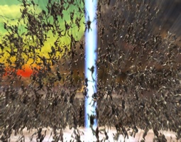 나인티나인 나이츠 1번째 이미지