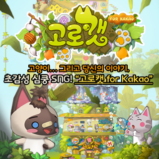 고로캣 1번째 이미지