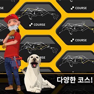 다운힐마스터즈 6번째 이미지