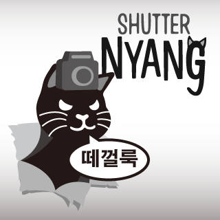 셔터냥 4번째 이미지