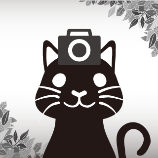 셔터냥 6번째 이미지