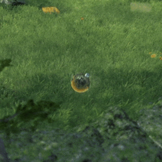 The Ball Flow - Nature and Light6번째 이미지